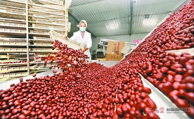 新疆扎实做好乡村振兴大文章 产业兴、乡村美、农民富，农副产品发展谱新篇