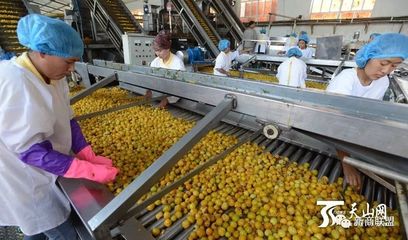 巴州 临空经济振翅起 特色农产乘‘风’行