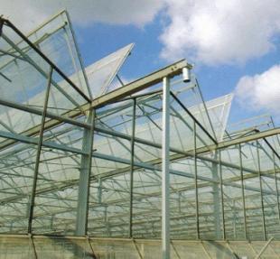 石家庄玻璃温室与日光温室大棚建设 农副产品高效生产的关键