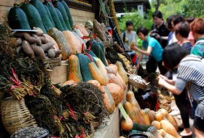 过年去哪玩？封开农副产品的别样年味之旅