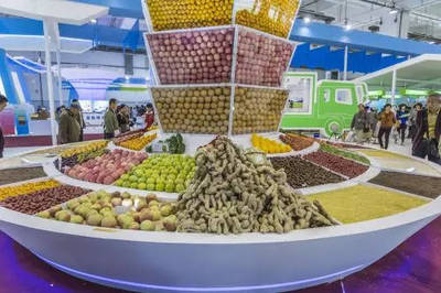 朋友圈中的农产品销售，责任归属谁承担？