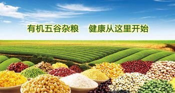 2019广州有机展 引领健康生活新风尚，汇聚全球有机农副精品