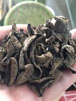 东北农副产品概览 常见品类、价格趋势与识别指南