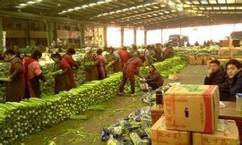 杭州农副产品物流中心 长三角的“菜篮子”与流通枢纽