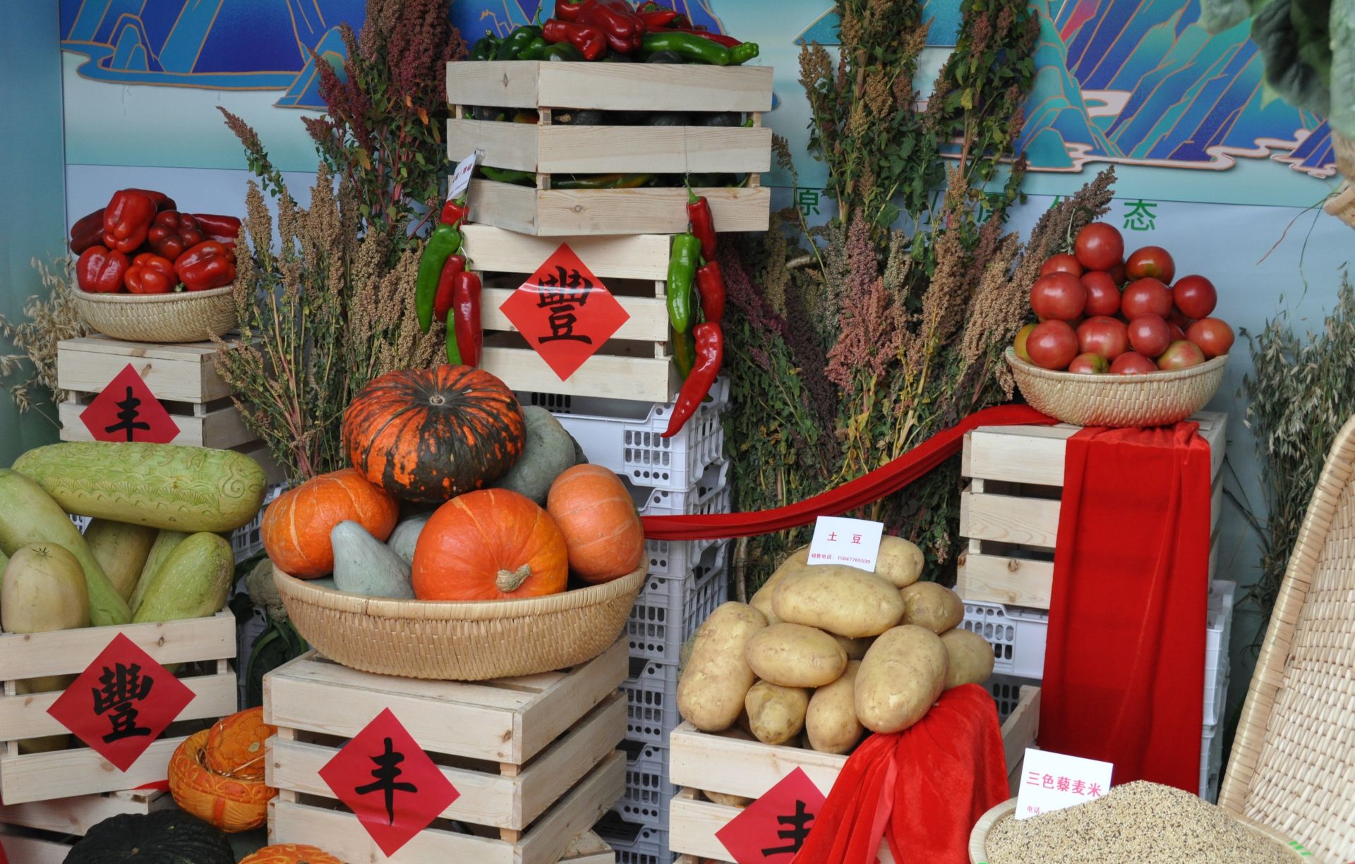 打造绿色粮仓与特色品牌 全方位建设模范自治区的北疆农副产品新实践